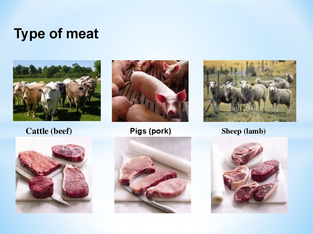 Мясо на английском языке. Виды мяса на английском языке. Types of meat. Мясные продукты на английском языке.