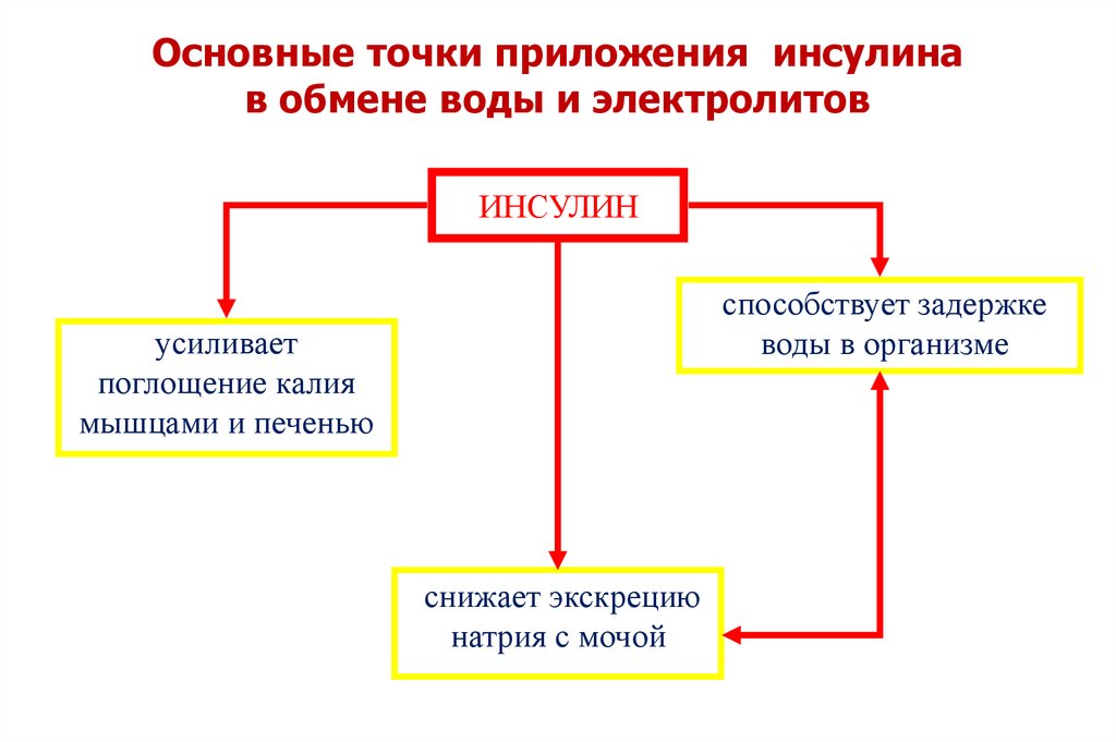 Патофизиология сахарного диабета презентация