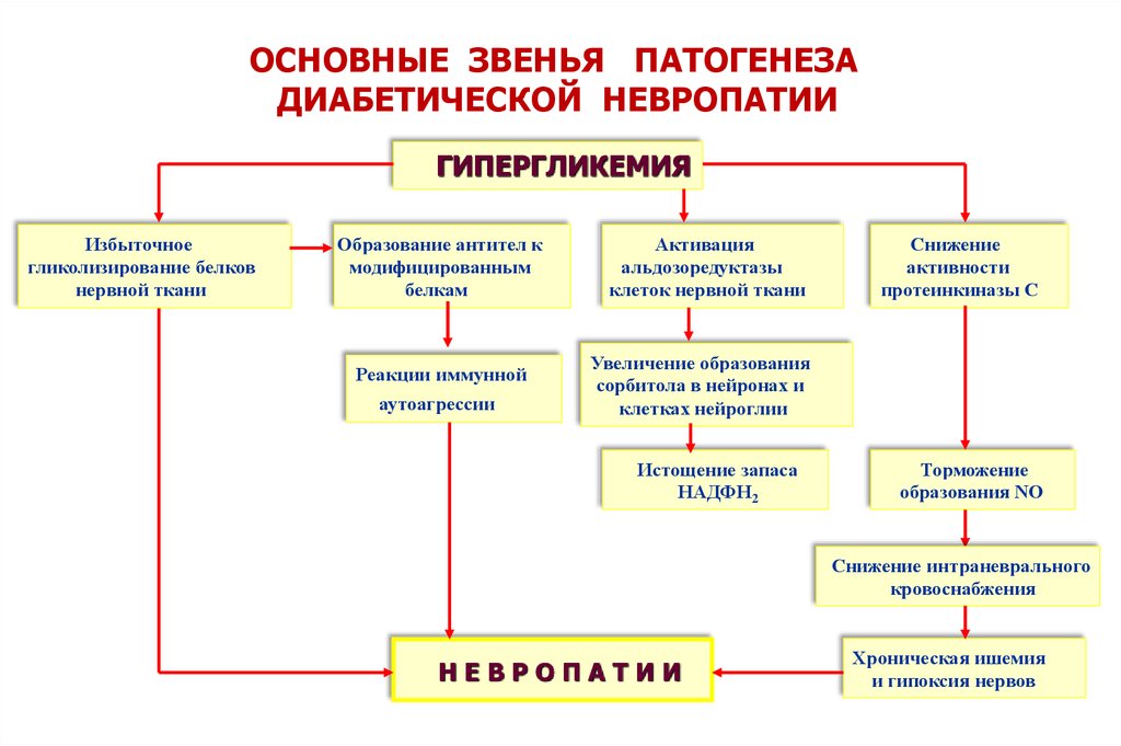 Звенья патогенеза. Механизм развития диабетической нейропатии патофизиология. Патогенез диабетической Эмбриофетопатии. Схема патогенеза диабетической фетопатии. Основные звенья патогенеза диабетической полинейропатии.