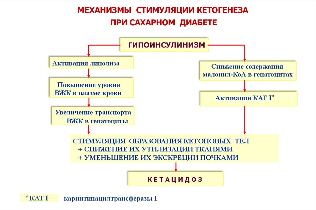 Патофизиология сахарного диабета презентация