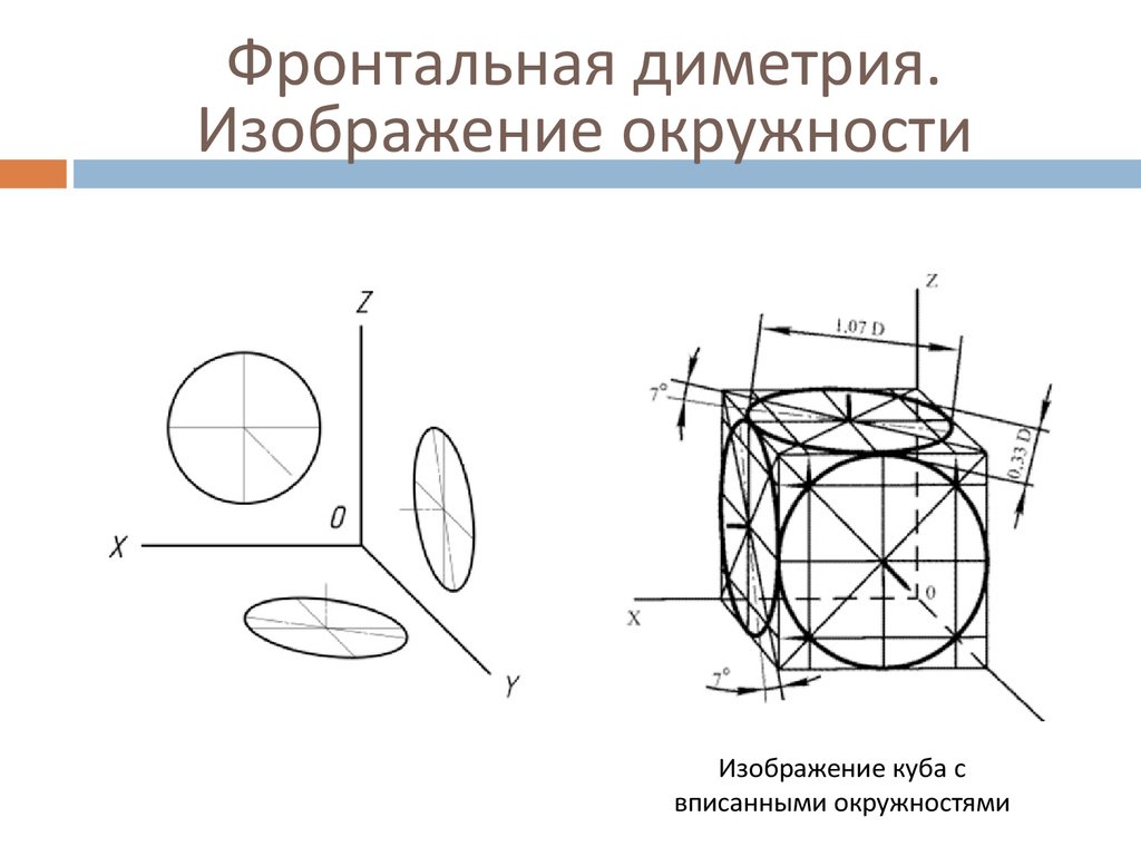 Изображение окружности в прямоугольной диметрии на плоскости параллельной п2 обозначено цифрой