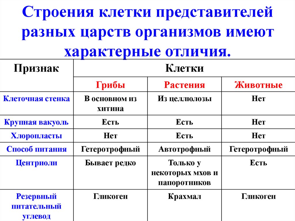 Клетки организмов всех царств живой природы имеют. Сравнительная характеристика царства бактерии. Отличие клеток растений, грибов, растений . Таблица. Сравнение клеток разных Царств эукариот таблица. Клеточное строение бактерии грибы растения животные таблица.