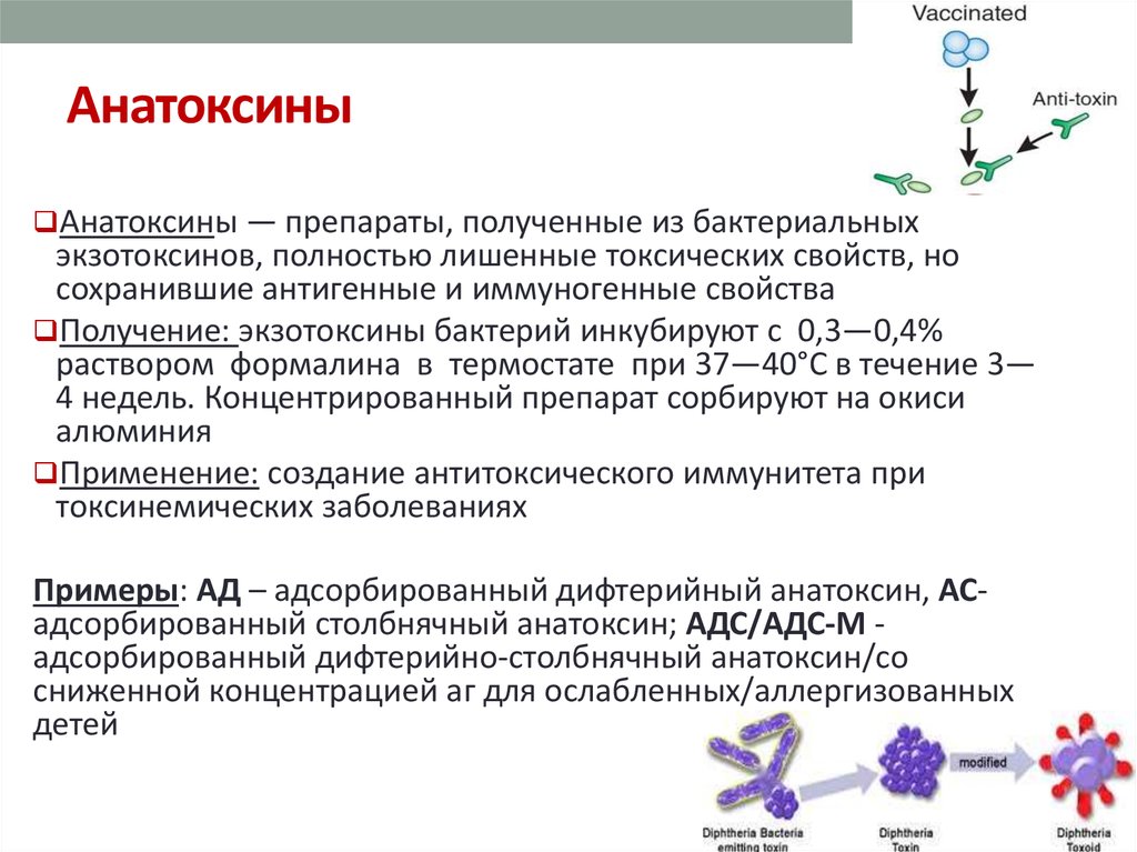 Токсин форум. Анатоксин содержит микробиология. Анатоксины сыворотки микробиология. Анатоксин иммунология. АС-анатоксин принцип действия.