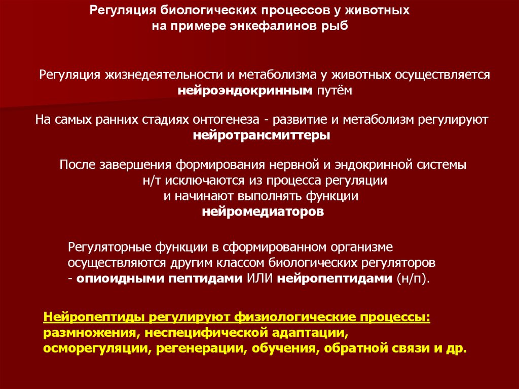 Регуляция жизнедеятельности организма. Регуляция жизнедеятельности. Регуляция биологических процессов. Регуляция у животных. Регуляторные системы животных.