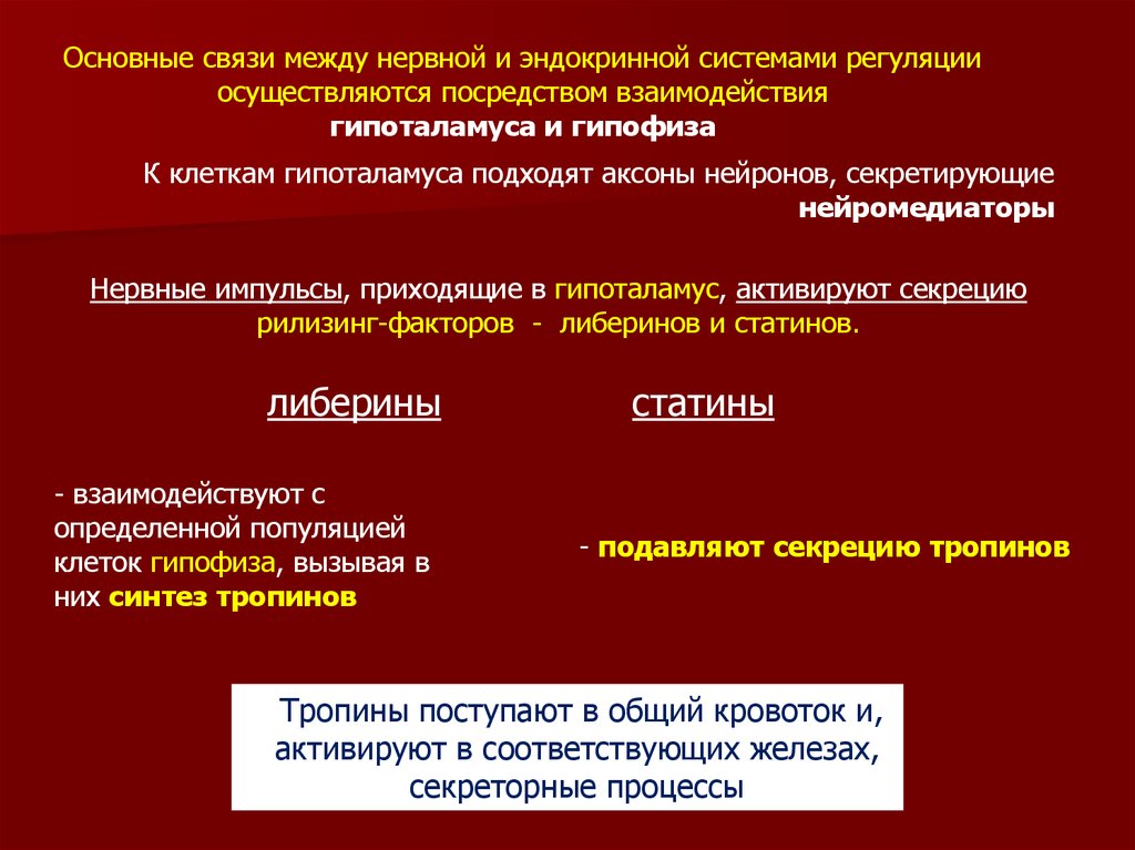 Осуществлять посредством. Основные связи между нервной и эндокринной. Связь между нервной и эндокринной системой. Регуляция секреции либеринов и статинов. Взаимосвязь между нервной и эндокринной системами.