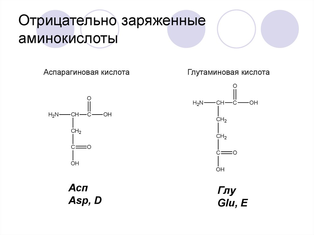 32 аминокислоты. Глу аминокислота формула. Аминокислоты глу и АСП. Заряженные аминокислоты. Отрицательно заряженные аминокислоты.