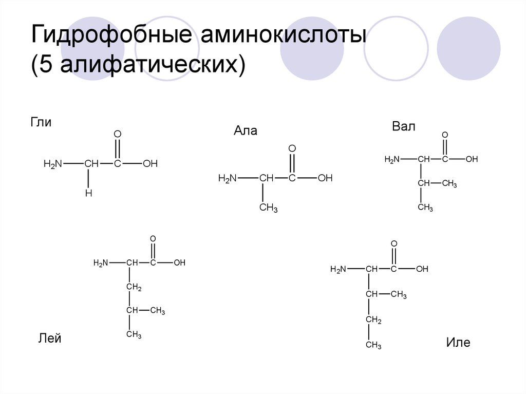 Ала фен лей вал. Гидрофобные и гидрофильные аминокислоты таблица. Полярные гидрофильные аминокислоты. Строение гидрофильных гидрофобных аминокислот. Неполярные гидрофильные аминокислоты.