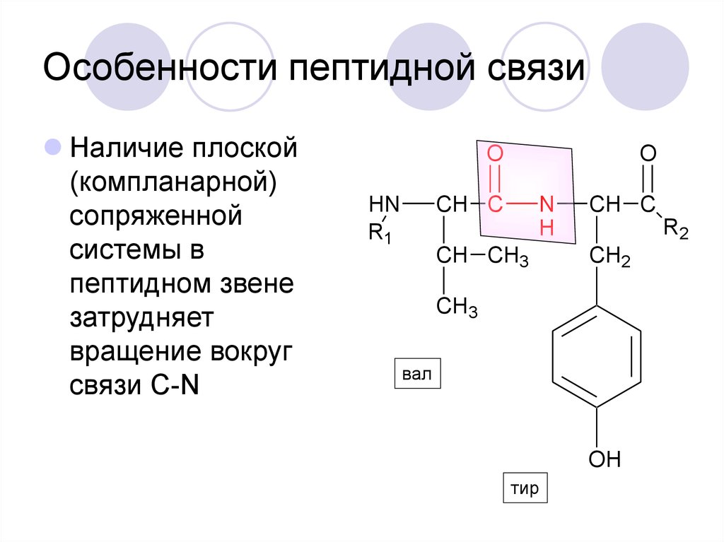 Характеристика пептидной связи в белках. Особенности пептидной связи. Характеристика пептидной связи. Схема образования пептидной связи биохимия. Пептиды и особенности пептидной связи.