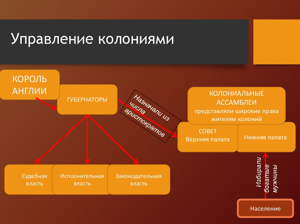 Схема население колоний