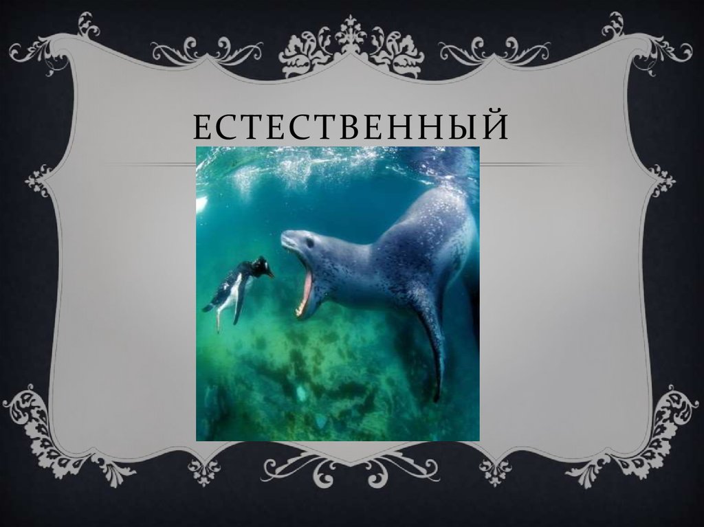 Естественный