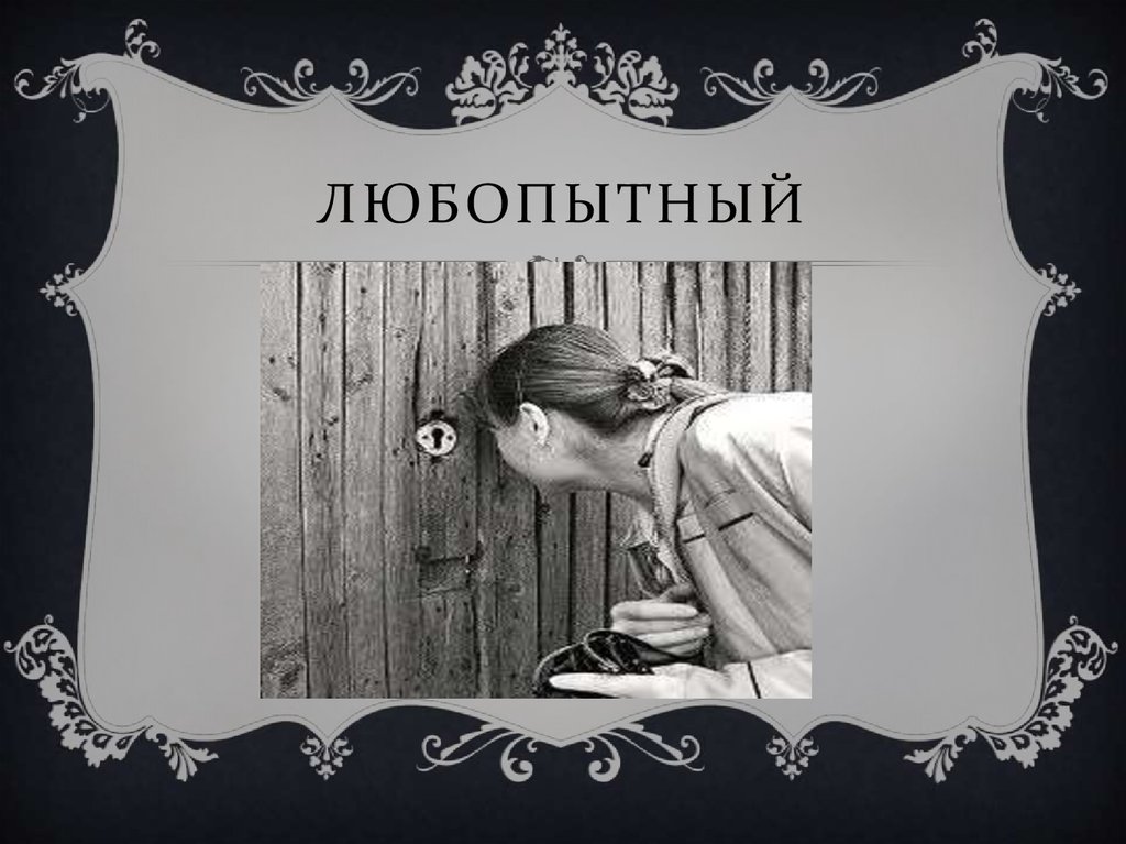 Любопытный