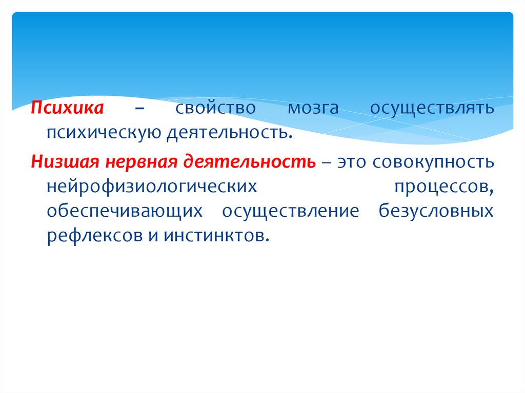 Низшая нервная. Низшая нервная деятельность. Низшая нервная деятельность физиология. Что такое Низшая нервная деятельность это деятельность. Особенности низшей и высшей нервной деятельности.