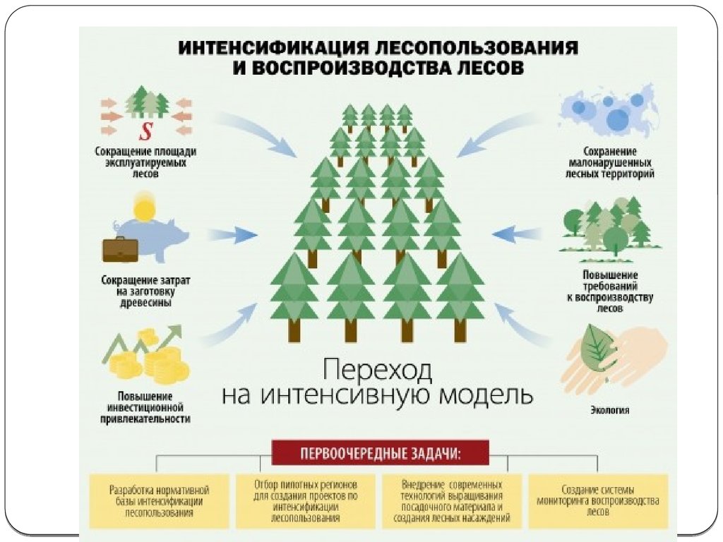 Уменьшение территории. Лесовосстановление схема. Восстановление леса схема. Виды использования лесов. Методы воспроизводства лесных ресурсов.