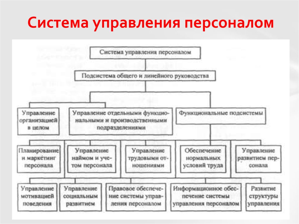 Управление персоналом какие. Система управления персоналом организации схема. Состав комплексных функциональных подсистем системы управления. Состав функциональных подсистем системы управления персоналом. Состава задач функциональных подсистем управления:.