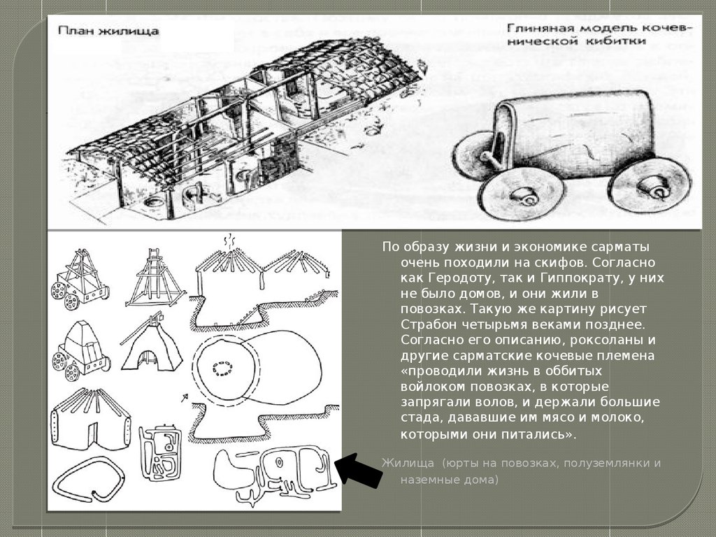 Жилище сарматов картинки