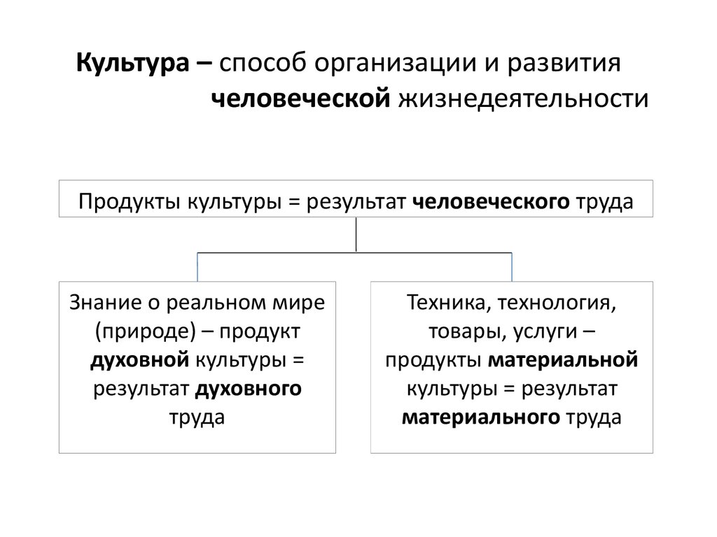 Способы жизнедеятельности