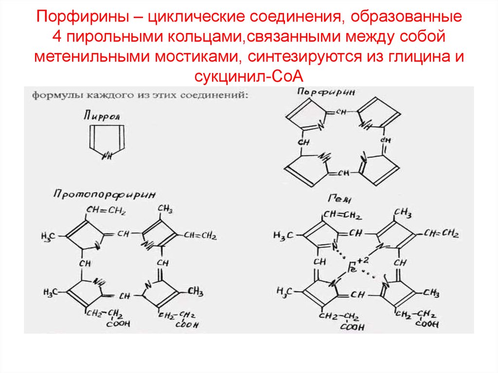 Соединение образовано. Порфирин дентантность. Циклические соединения формулы. Порфирины биохимия. Порфирины, комплексы порфиринов с металлами.