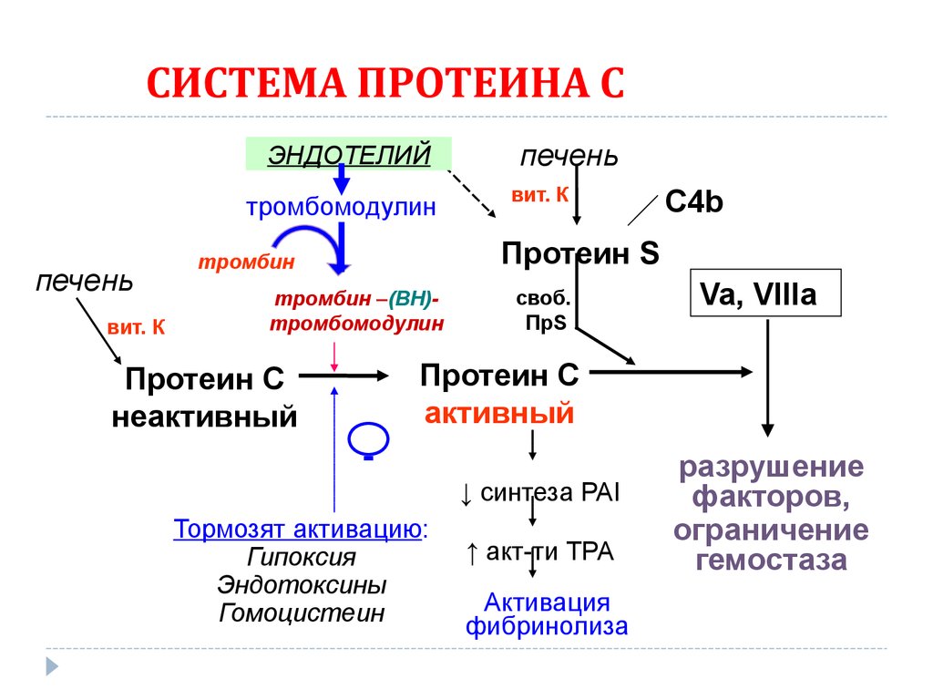 Система белков