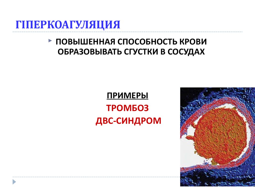 Форум по тромбозу и гемостазу