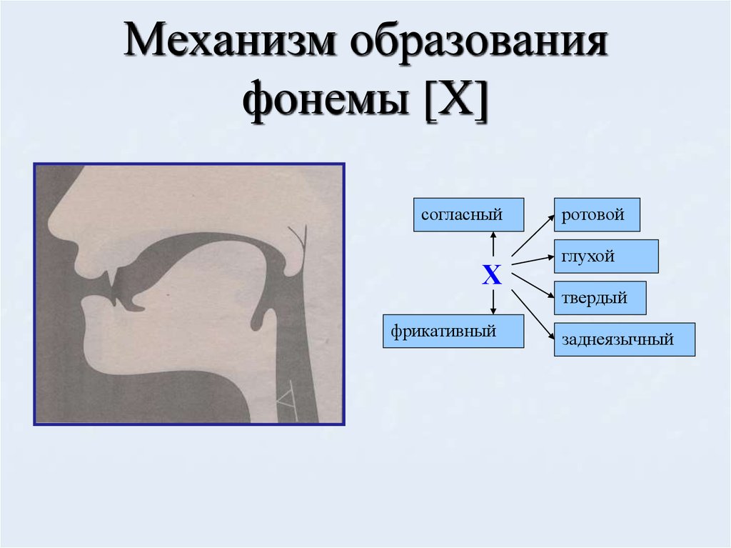 Картинка характеристика звуков