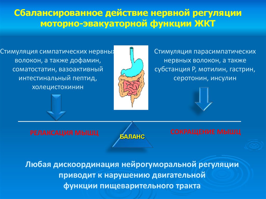 Защитная функция желудка