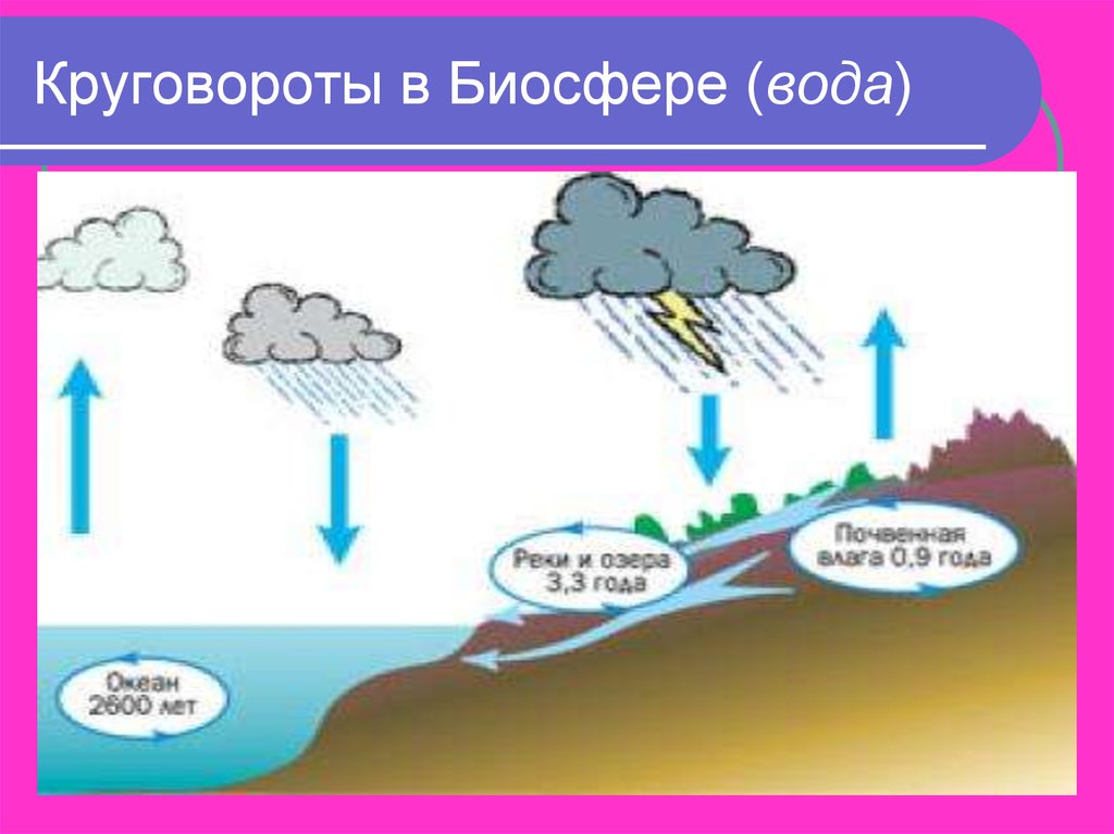 Круговорот воды в биосфере схема 11 класс