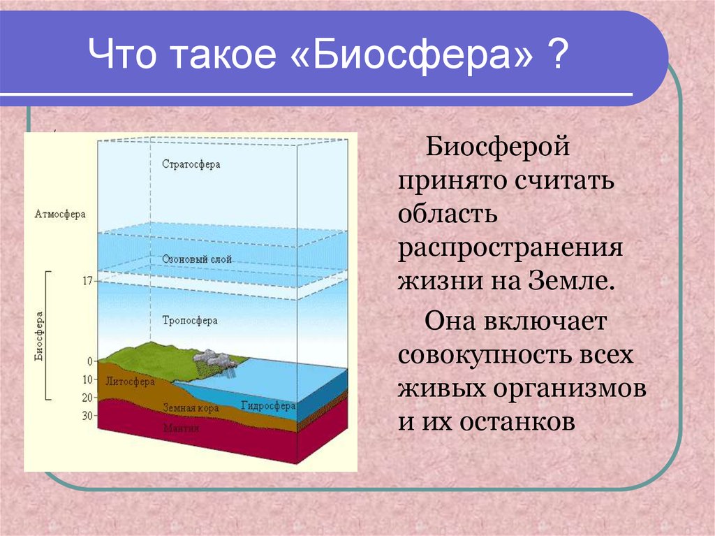 Какие факторы ограничивают распространение жизни в атмосфере. Биосфера. Структура и границы биосферы схема. Биосвейл. Вибросфера.