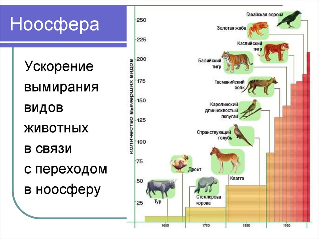 Сколько видов. Численность видов животных. Диаграмма вымирания животных. График исчезновения видов животных. Числа в виде животных.