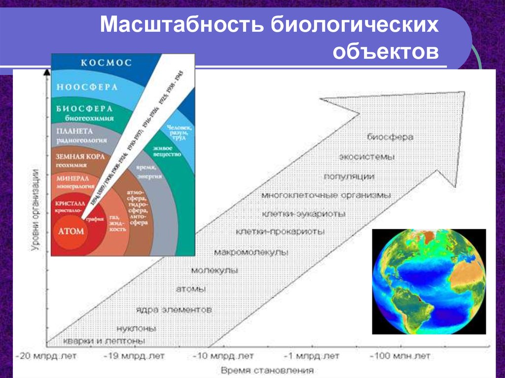 Концепция биосферы. Биологическая концепция биосферы. Социально экономическая концепция биосферы. Уровни масштабности. КОБ Биосфера.