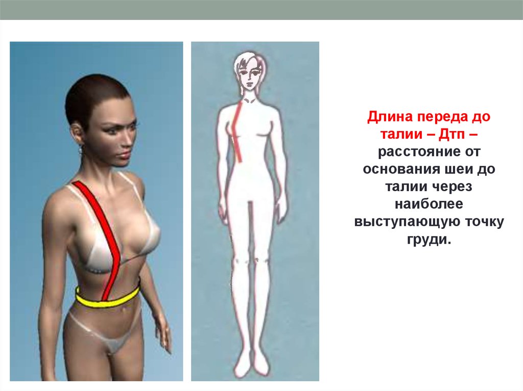 Длина переда до талии. От основания шеи до талии. Длина от основания шеи. Мерка длина переда до талии.