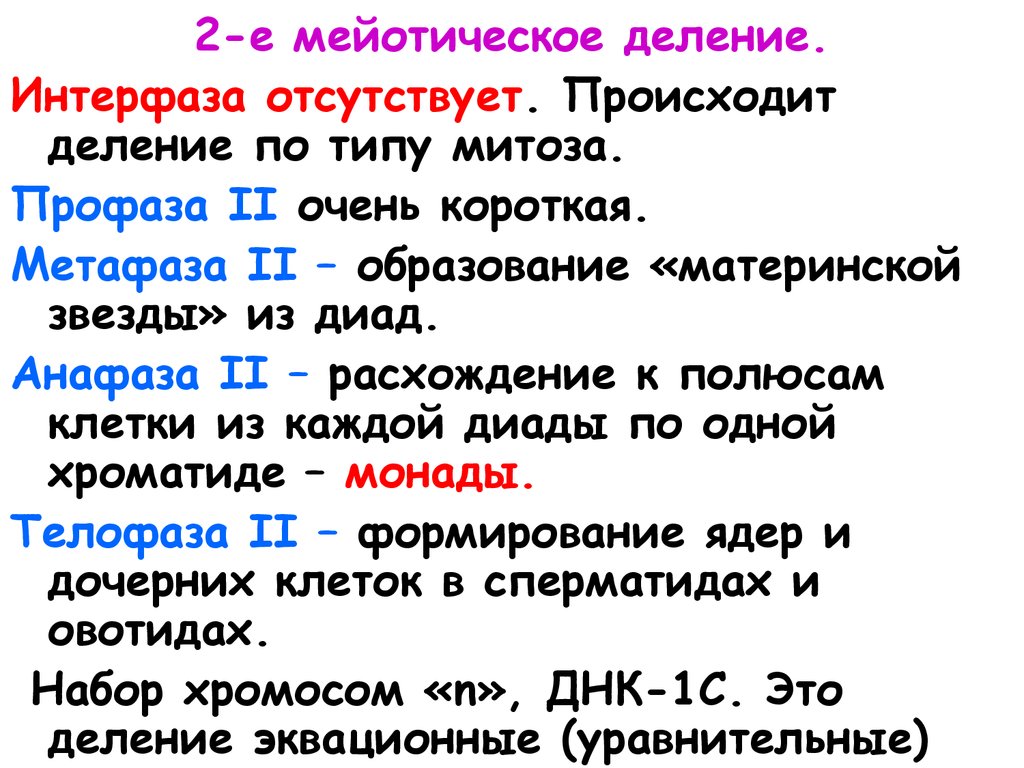 Стадия диады. 2 Эквационное деление интерфаза 2. Из чего состоит деление. Диады это биология. Диада это в биологии.