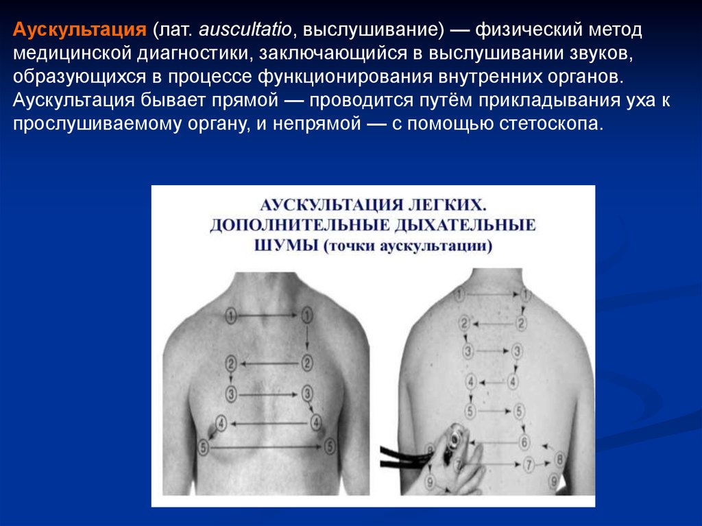 Аускультация легких картинки