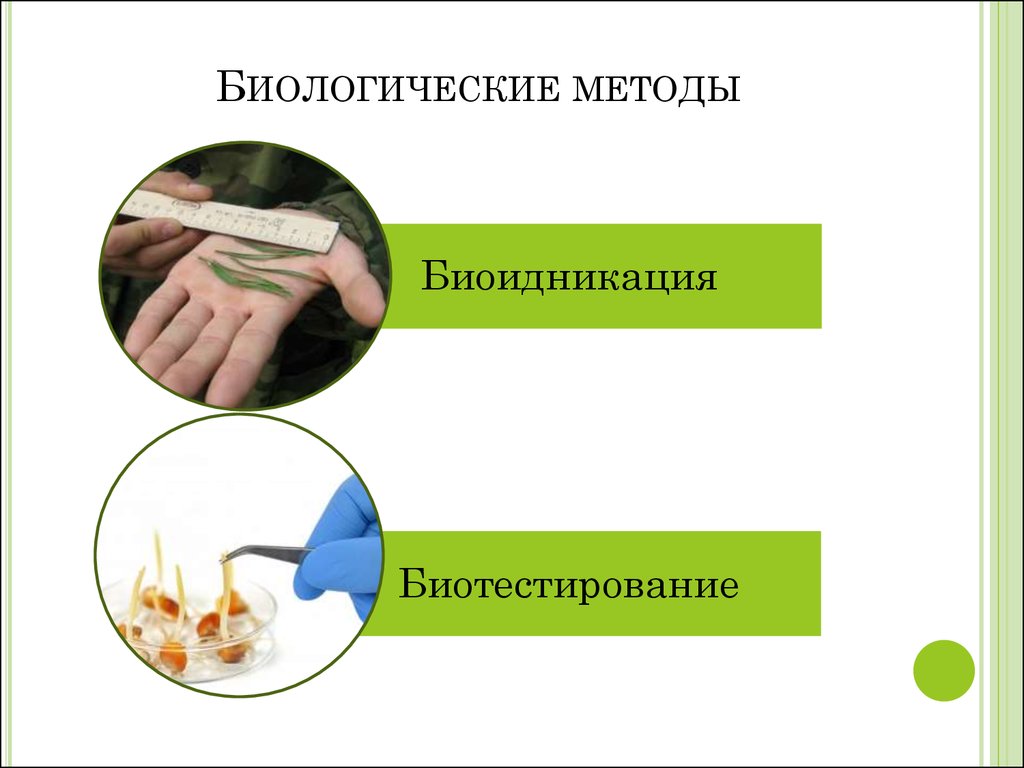 Биологический метод. Методы биологии. Биологические методы картинки. Биологический метод картинки.