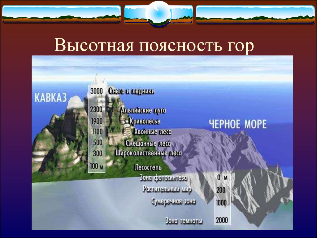 Природная зона в горах. Высотная поясность гор. Высотная зональность в горах. Высокая поясность в горах Кавказа. Высотная поясность в горах.