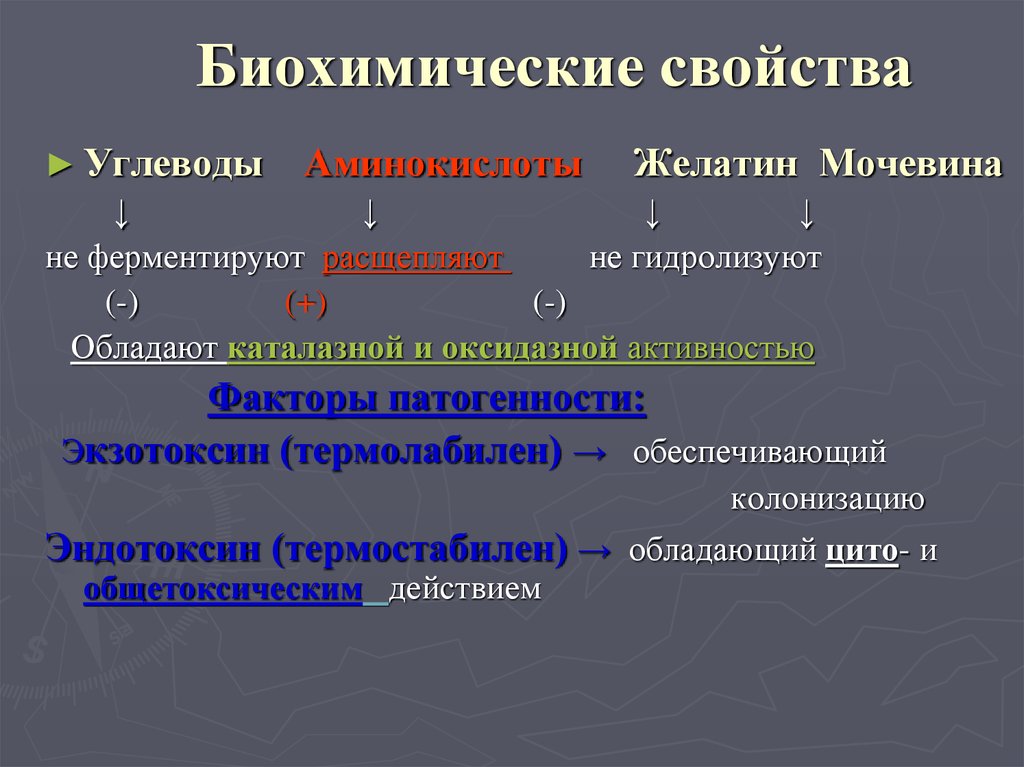 Биохимические параметры. Характеристика углеводов. Биохимические свойства. Биохимические свойства углеводов. Основные свойства углеводов.