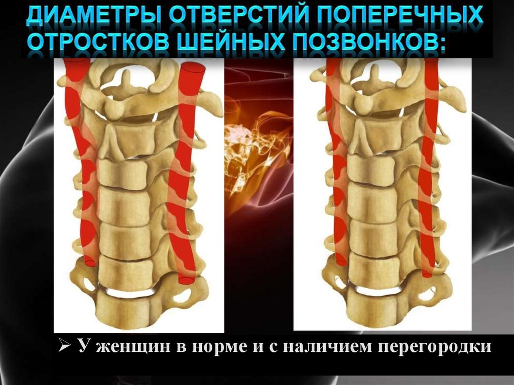 Анатолий поперечный фото