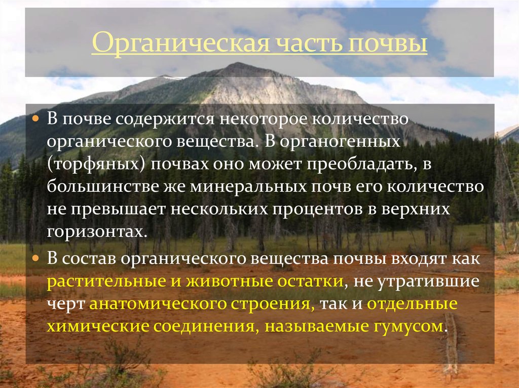 Части почвы. Органическая часть почвы. Состав органической части почвы. Органическая часть почвы презентация. Органическая составляющая почвы.