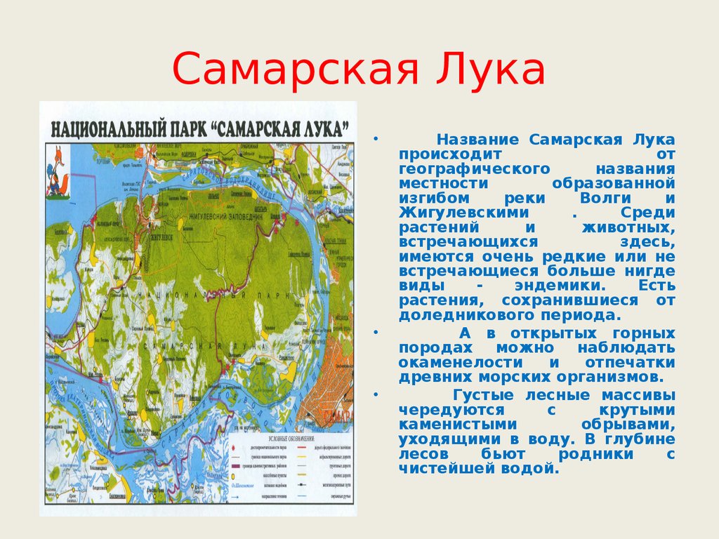 Презентация на тему национальный парк самарская лука