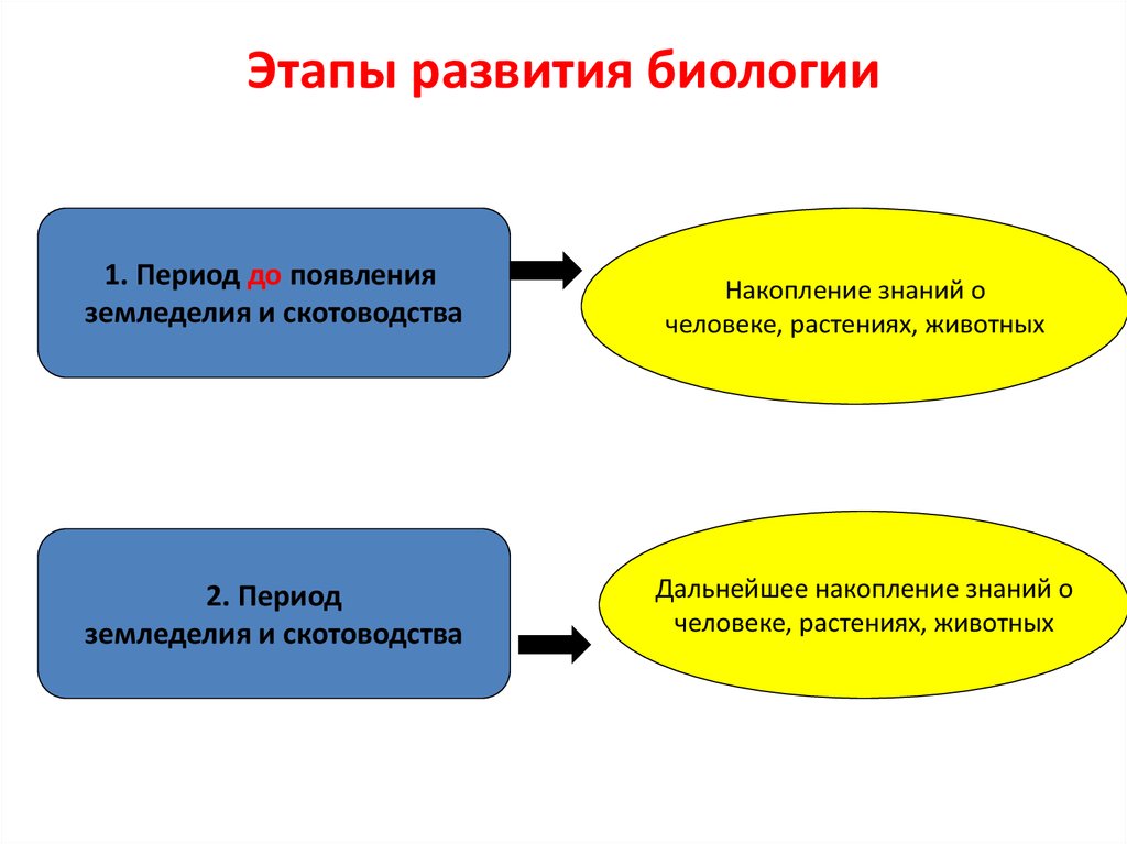 Формирование биологии