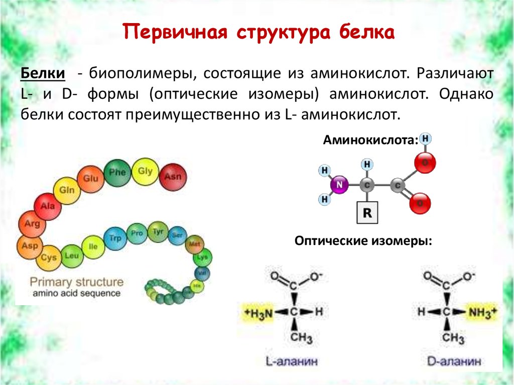 Образующиеся соединения белков