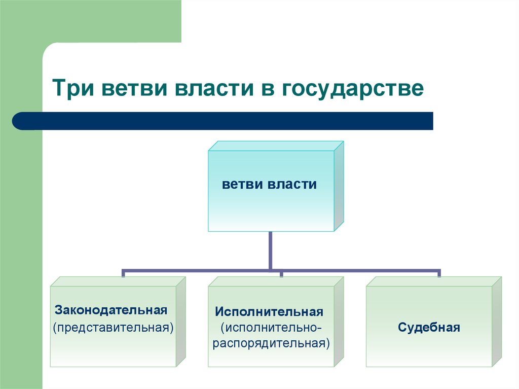 Органы власти три ветви