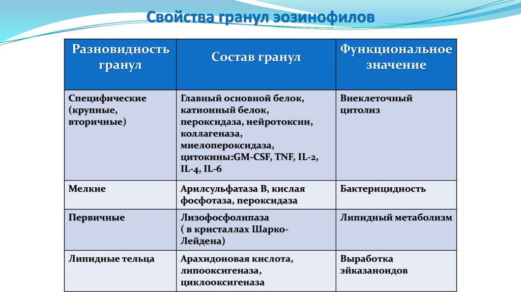 Содержат гранулы. Эозинофилы состав гранул. Химический состав гранул эозинофилы. Тинкториальные свойства гранул эозинофилов. Содержимое специфических гранул эозинофилов.