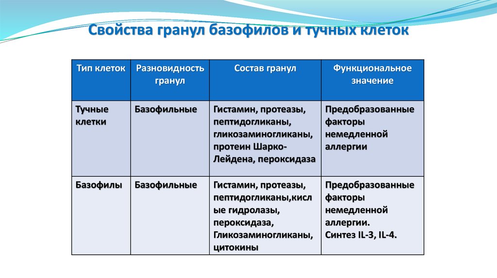 Содержимое гранулы. Химический состав базофилов. Содержимое гранул базофилов. Свойства гранул базофилов. Специфические гранулы базофилов содержат.