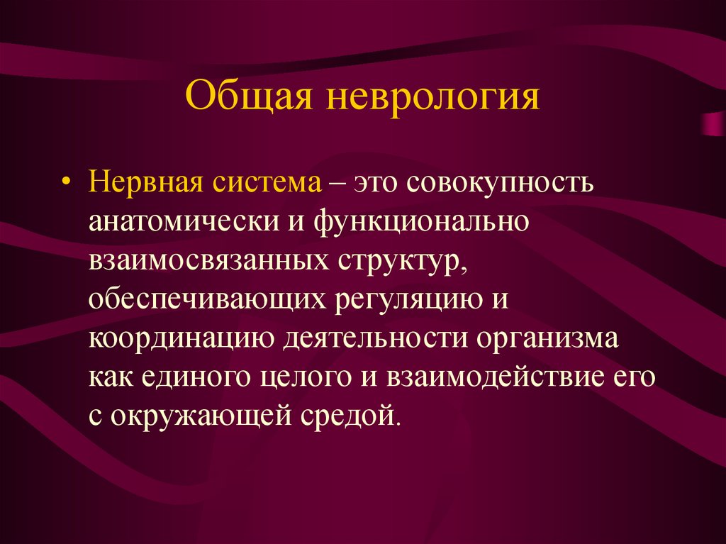 Неврология это. Неврология презентация. Общая неврология. Презентация по неврологии. Системы в неврологии.