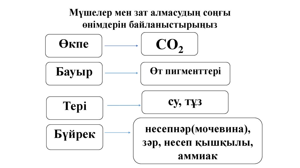 Жануарлардағы онтогенездің тура және жанама типтері презентация