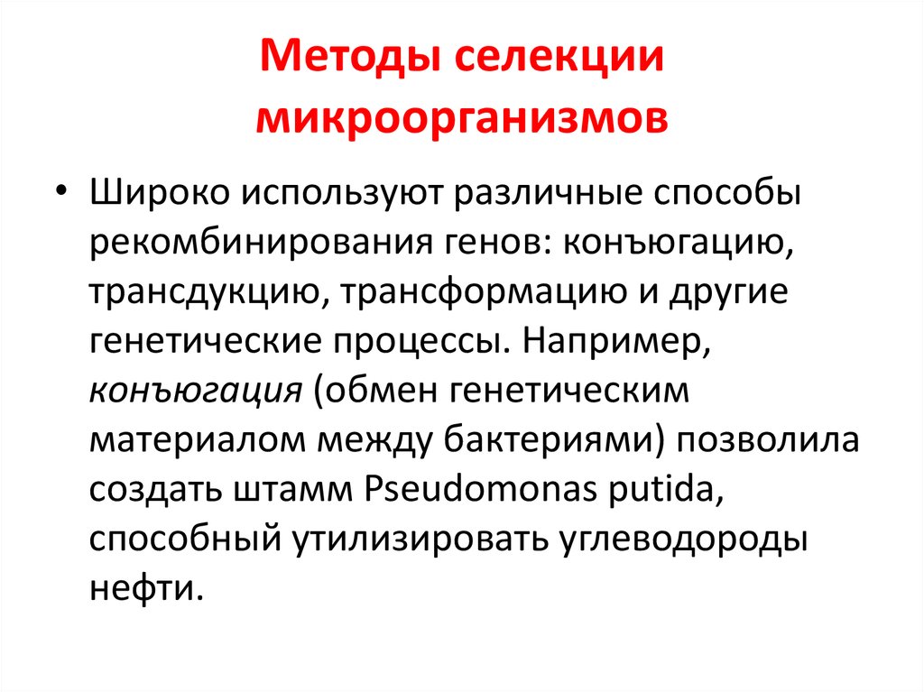 Селекция микроорганизмов. Методы селекции микроорганизмов презентация. Значение селекции микроорганизмов. Селекция микроорганизмов презентация 9 класс. Метод селекции микроорганизмов конъюгация.