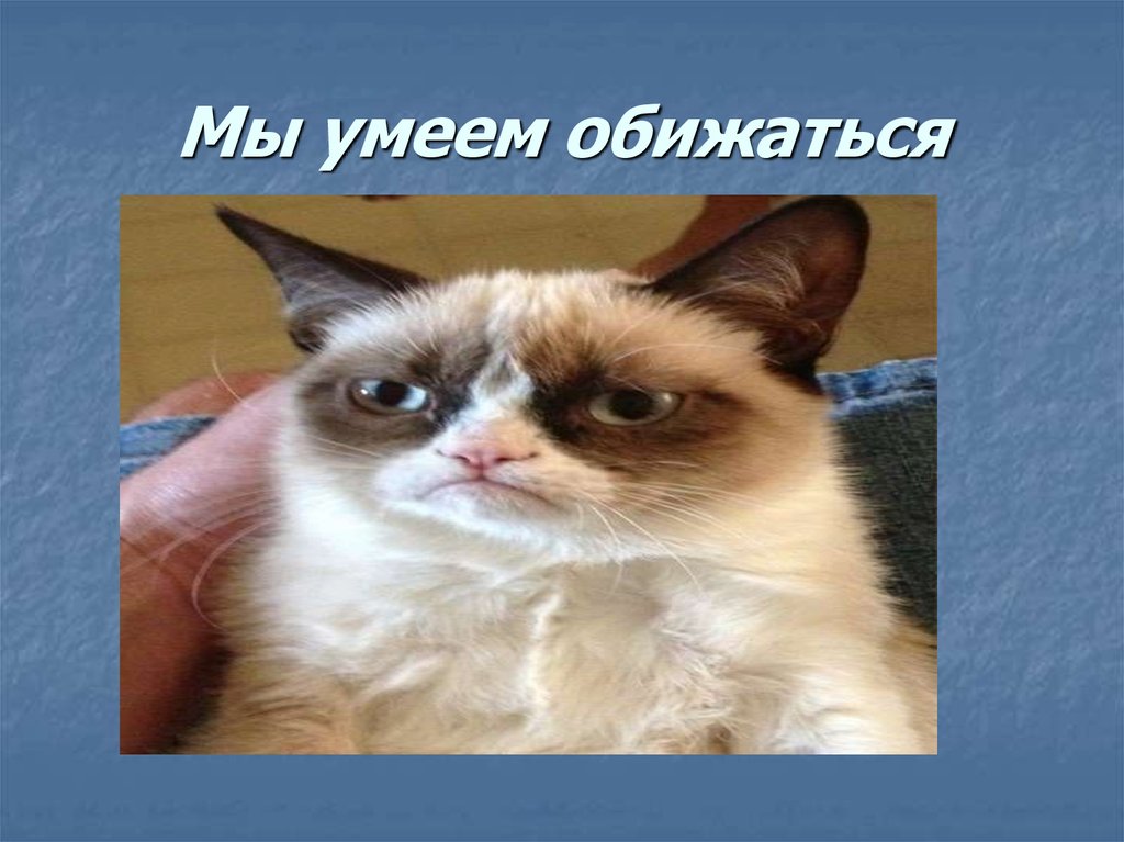 Мы умеем обижаться