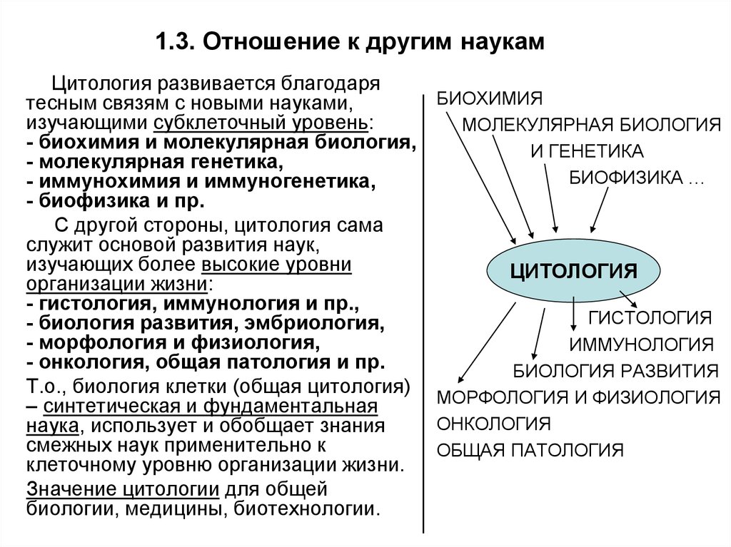 Цитология наука о. Связь цитологии с другими науками. Взаимосвязь биологии с другими науками. Молекулярная биология связь с другими науками.