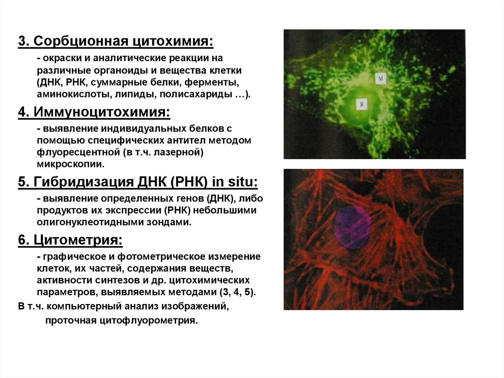 Дискуссионные проблемы цитологии 11 класс презентация