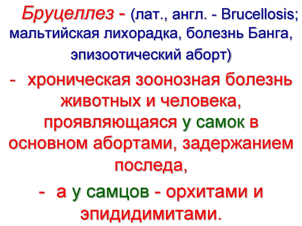 Мальтийская лихорадка. Бруцеллез распространение. Диагностика бруцеллеза. Бруцеллез семейство род вид. Бруцеллез иммунитет.